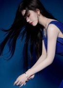 持续335次发射成功记载中缀？公器私